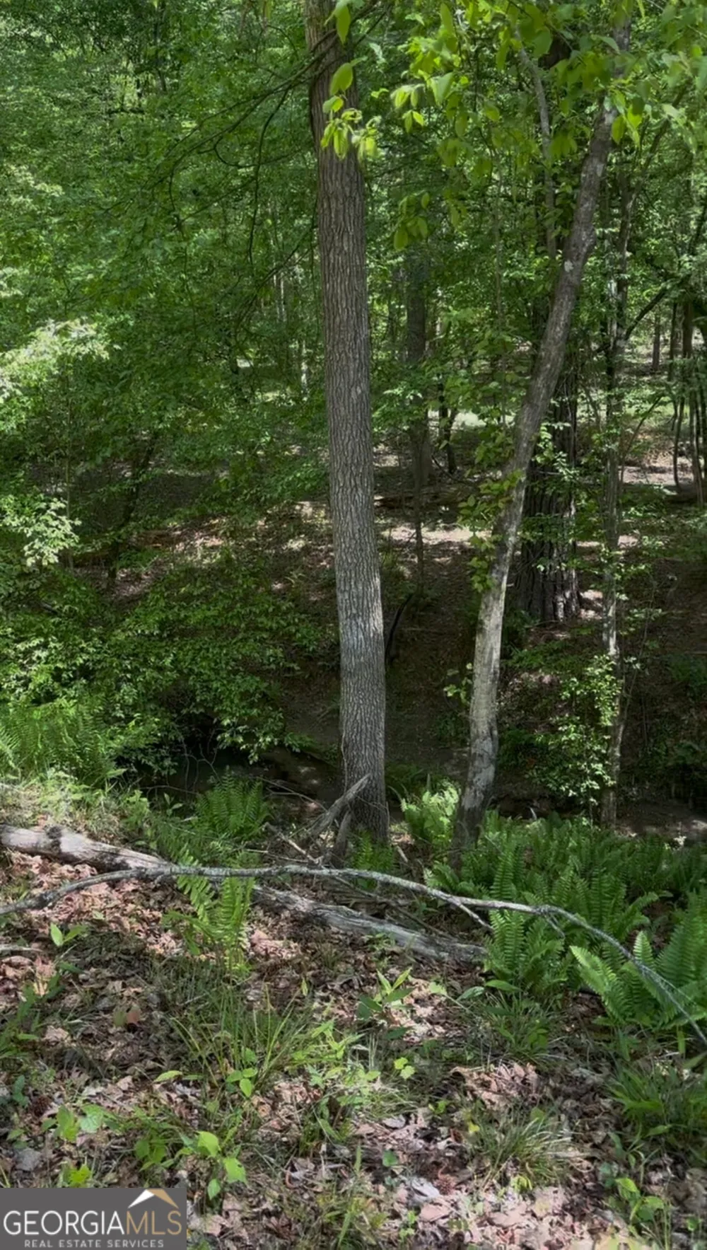 282 Quesenberry DR Eatonton, GA 31024