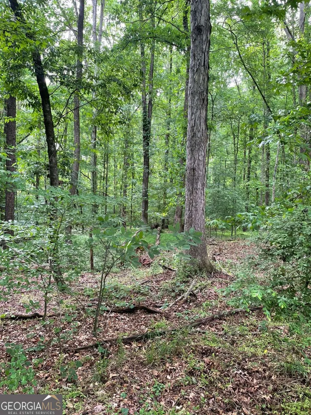 906 Jefferson River RD Jefferson, GA 30549