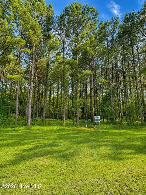 117 Colleton Circle