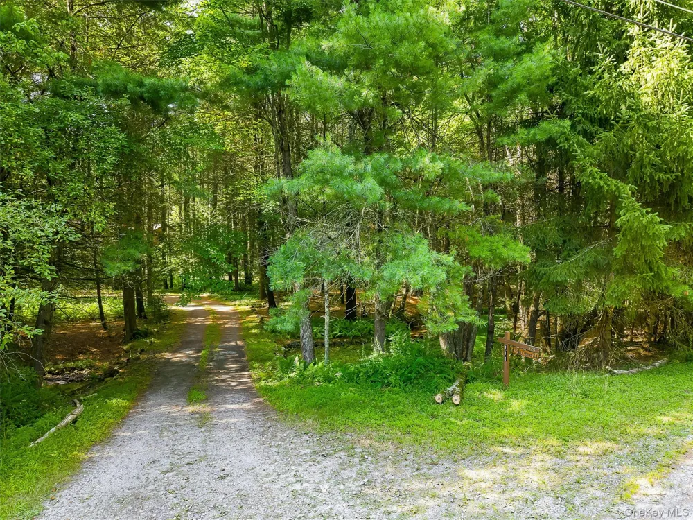111 Deer Meadow Road White Lake, NY 12786
