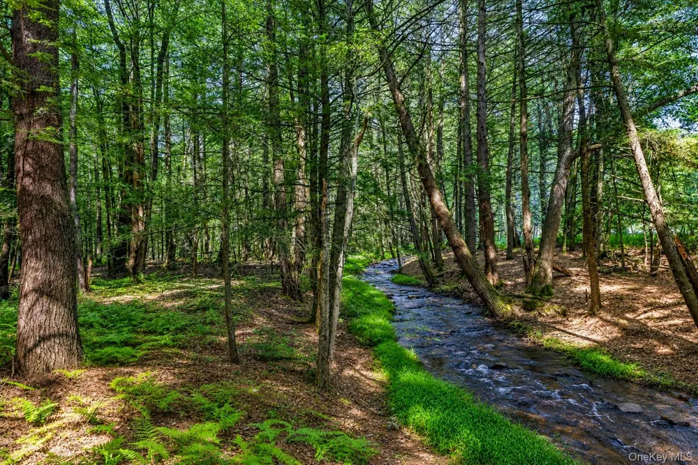 111 Deer Meadow Road White Lake, NY 12786