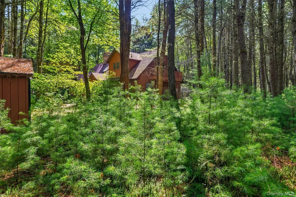 111 Deer Meadow Road White Lake, NY 12786