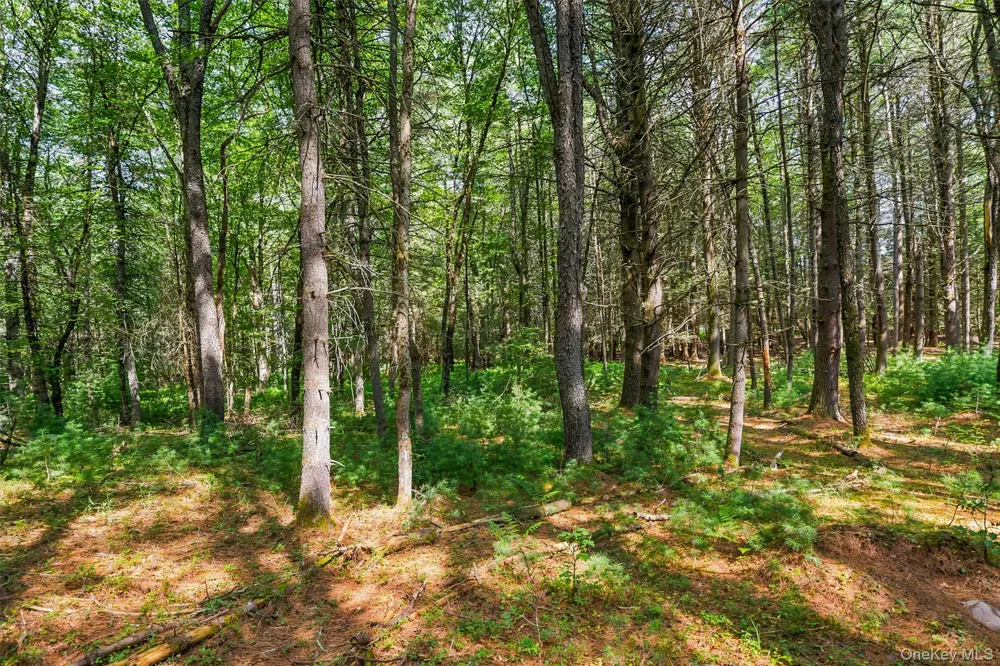 111 Deer Meadow Road White Lake, NY 12786