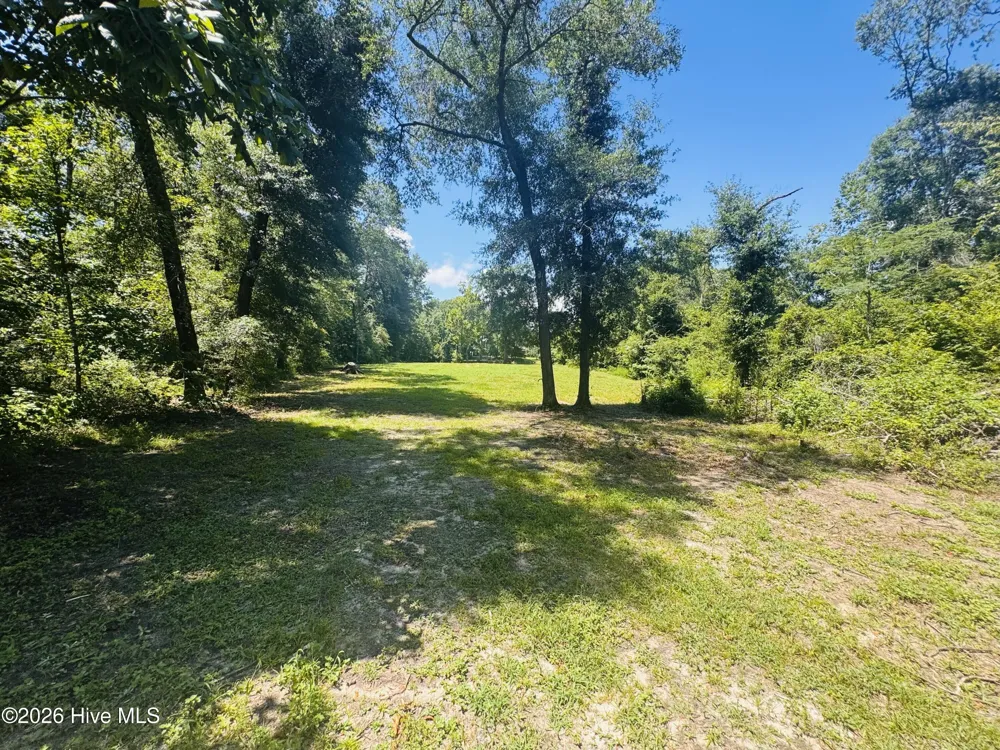 1042 Lake Cadeli Road Bartow, GA 30413