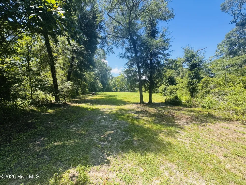 1042 Lake Cadeli Road Bartow, GA 30413