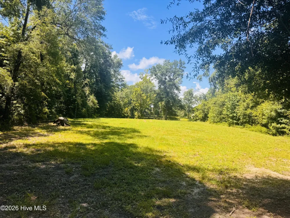 1042 Lake Cadeli Road Bartow, GA 30413