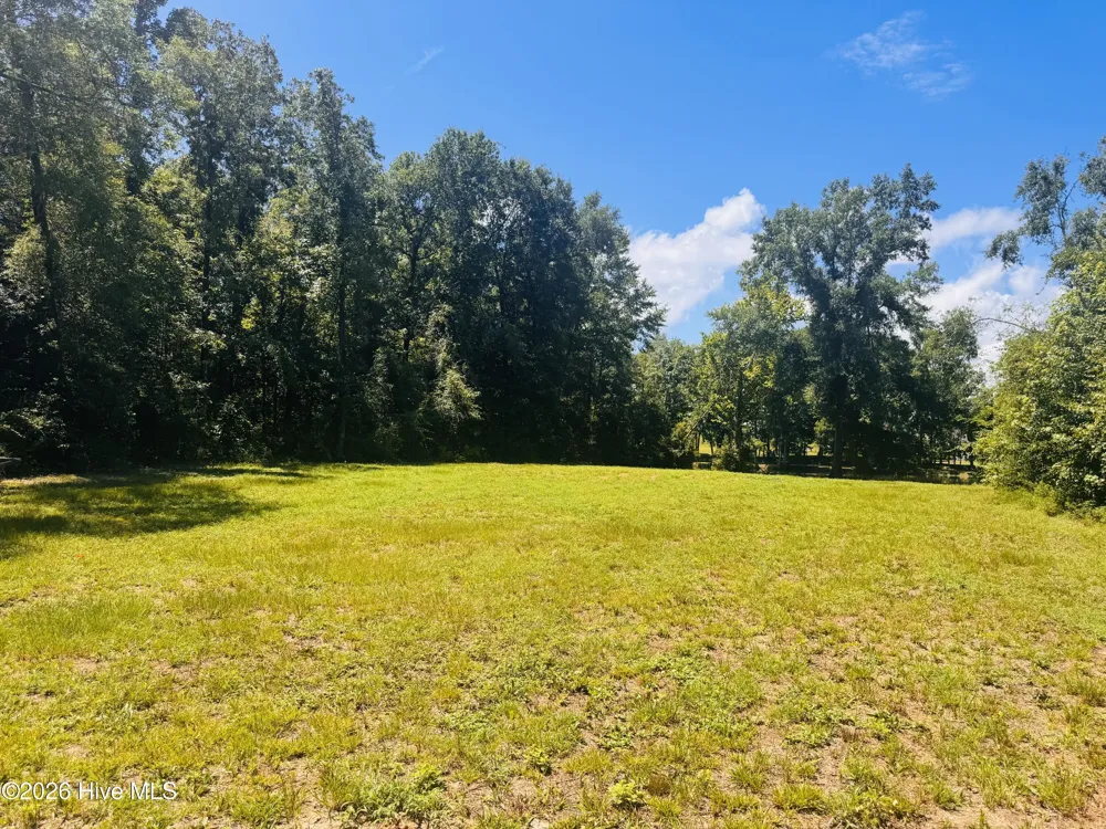 1042 Lake Cadeli Road Bartow, GA 30413