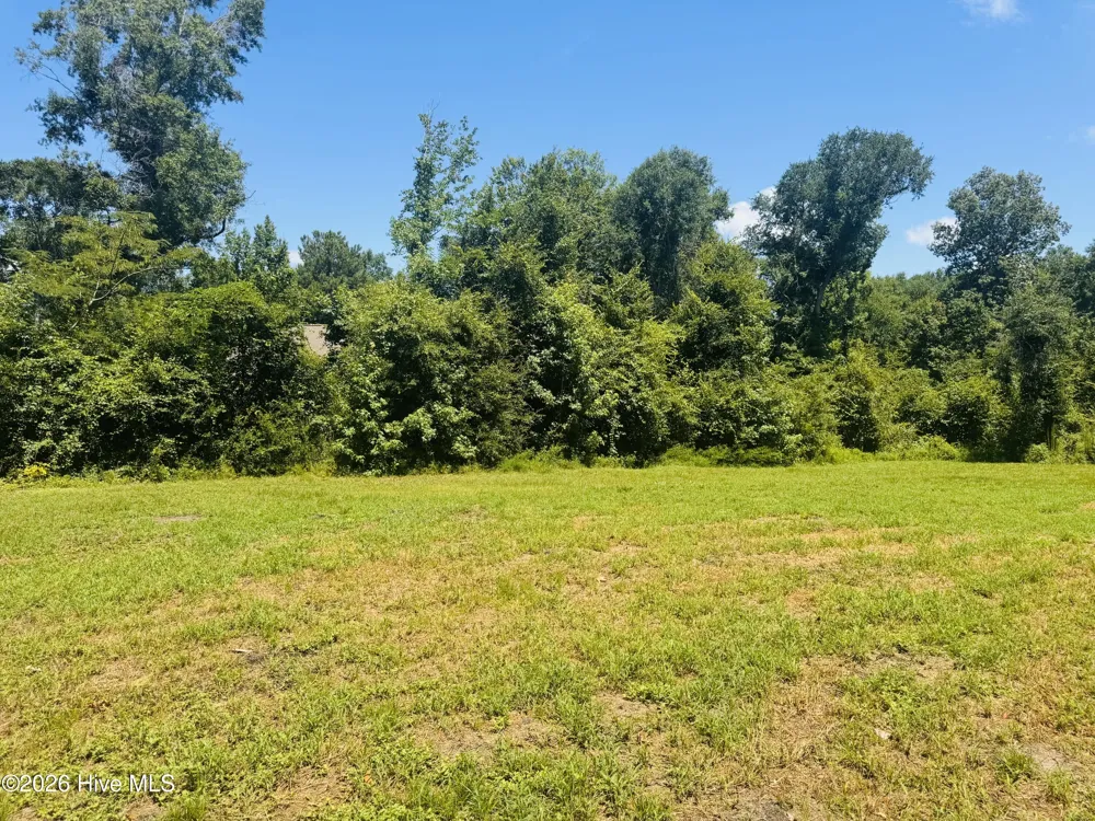 1042 Lake Cadeli Road Bartow, GA 30413