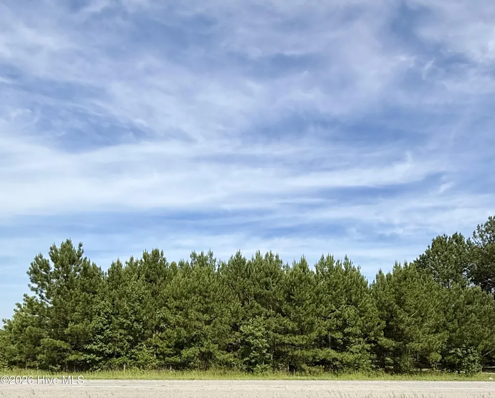 Lot 3 Us 17 Washington, NC 27889
