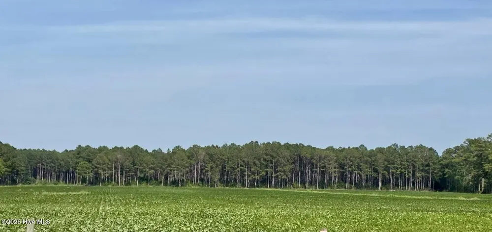 Lot 3 Us 17 Washington, NC 27889