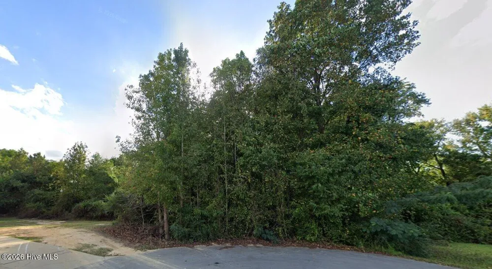 00 Livingston Lane Clinton, NC 28328