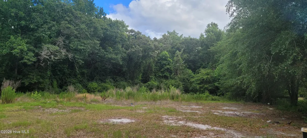 28379 Nc Hwy 210 Currie, NC 28435