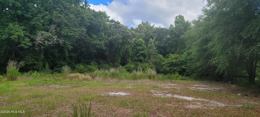28379 Nc Hwy 210 Currie, NC 28435