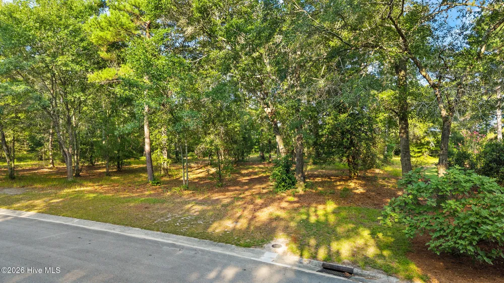 348 River Ridge Drive Wallace, NC 28466