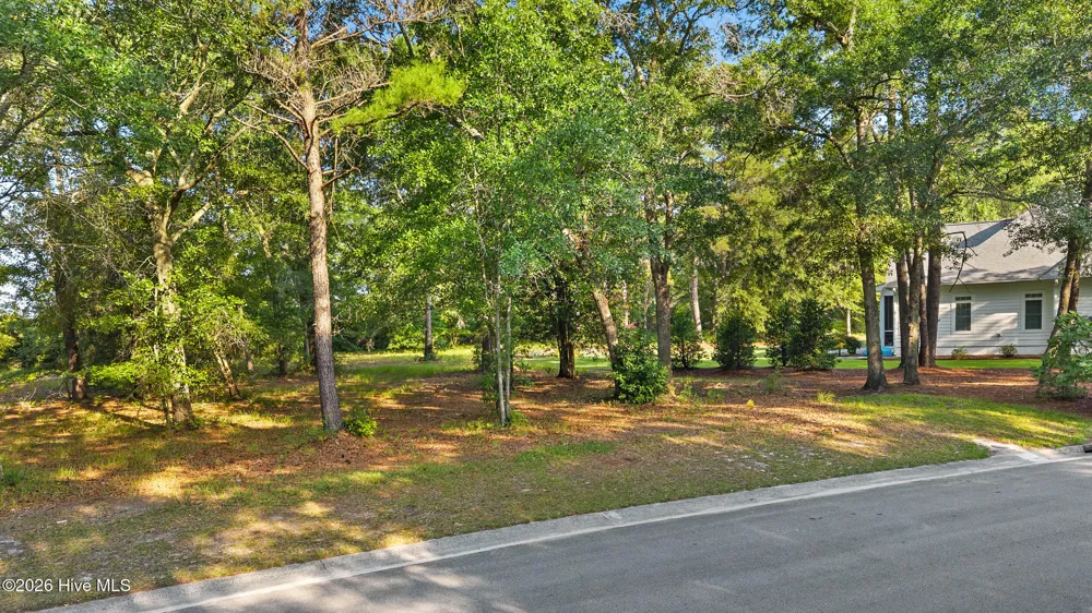 348 River Ridge Drive Wallace, NC 28466