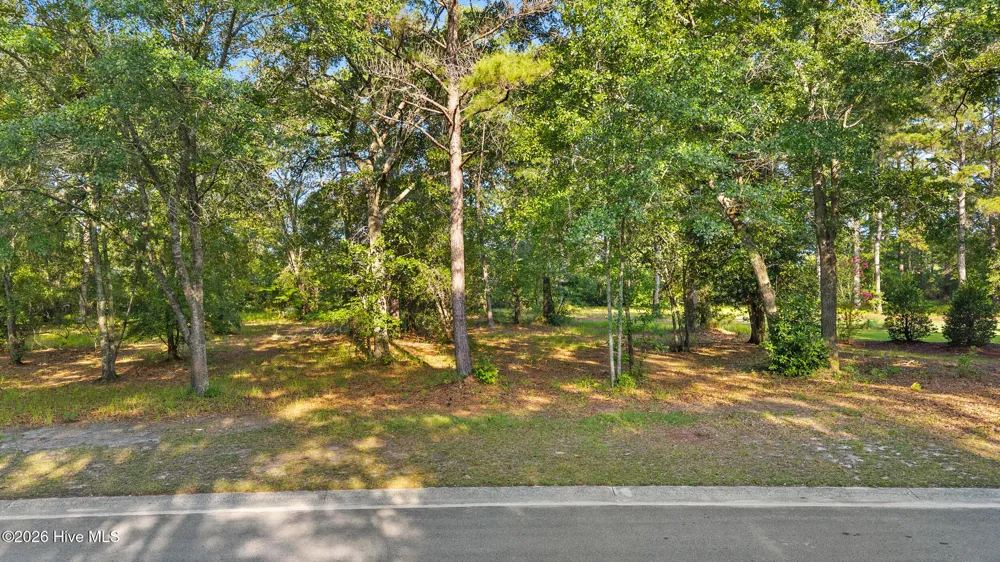 348 River Ridge Drive Wallace, NC 28466