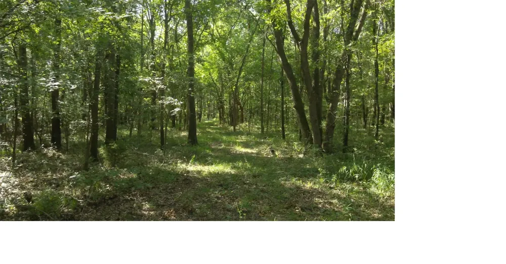 7 E Hwy 75 Highway Atoka, OK 74525
