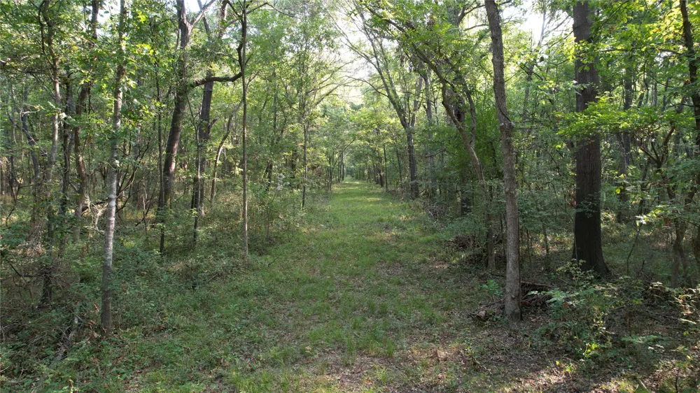 7 E Hwy 75 Highway Atoka, OK 74525