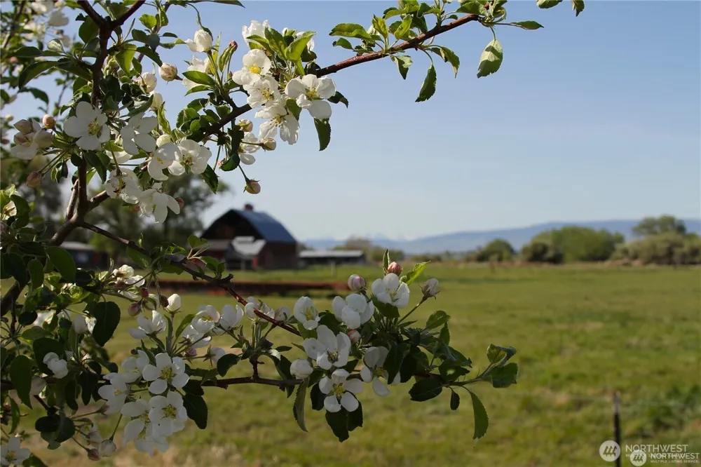 0 Heron Farm Lane Ellensburg, WA 98926