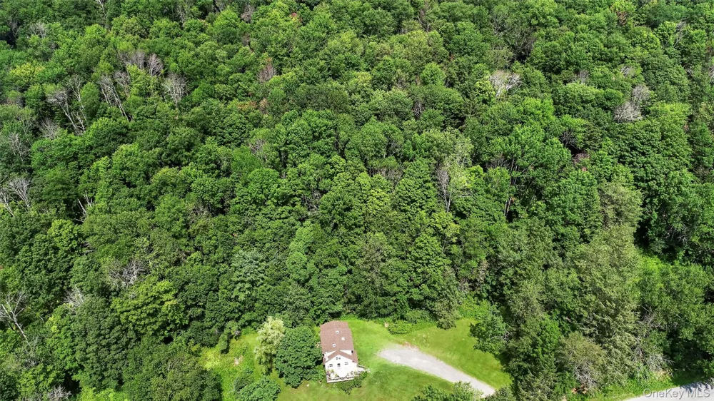 TDB White Roe Lake Road Livingston Manor, NY 12758