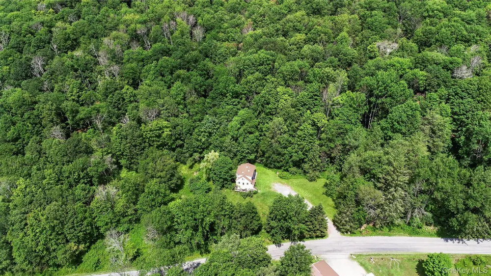 TDB White Roe Lake Road Livingston Manor, NY 12758