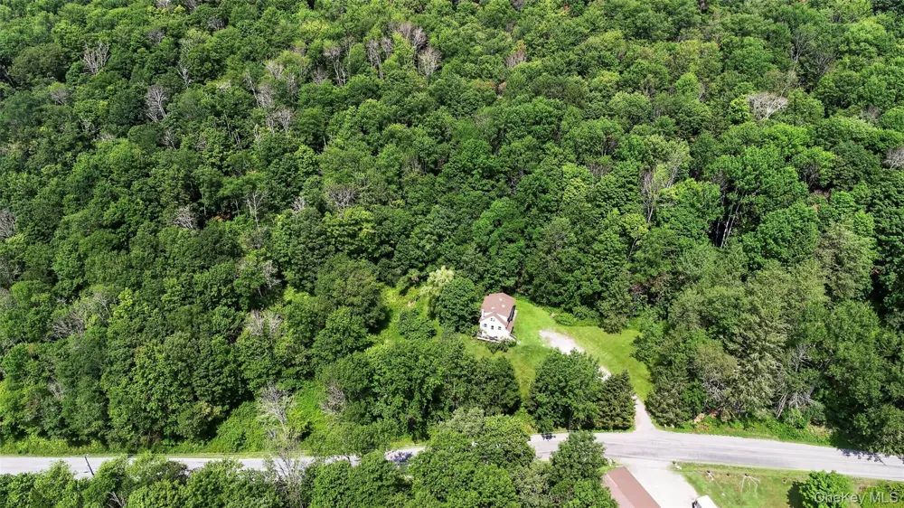 TDB White Roe Lake Road Livingston Manor, NY 12758