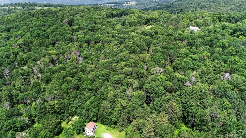 TDB White Roe Lake Road Livingston Manor, NY 12758