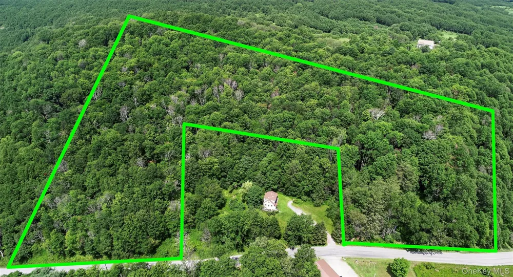 TDB White Roe Lake Road Livingston Manor, NY 12758