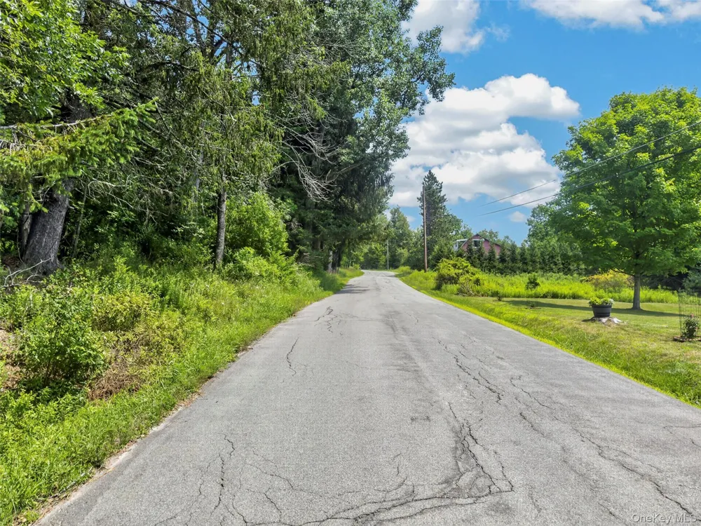 TDB White Roe Lake Road Livingston Manor, NY 12758
