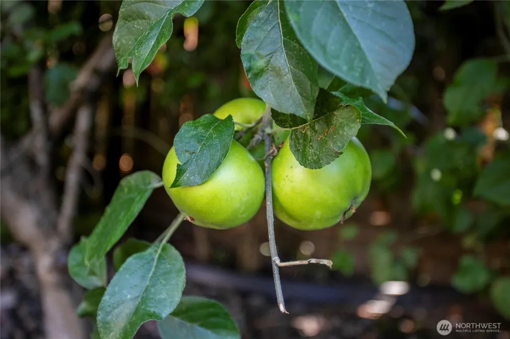 10415 NE 43rd Avenue Vancouver, WA 98686