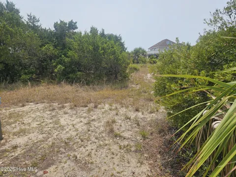 8 Black Skimmer Trail