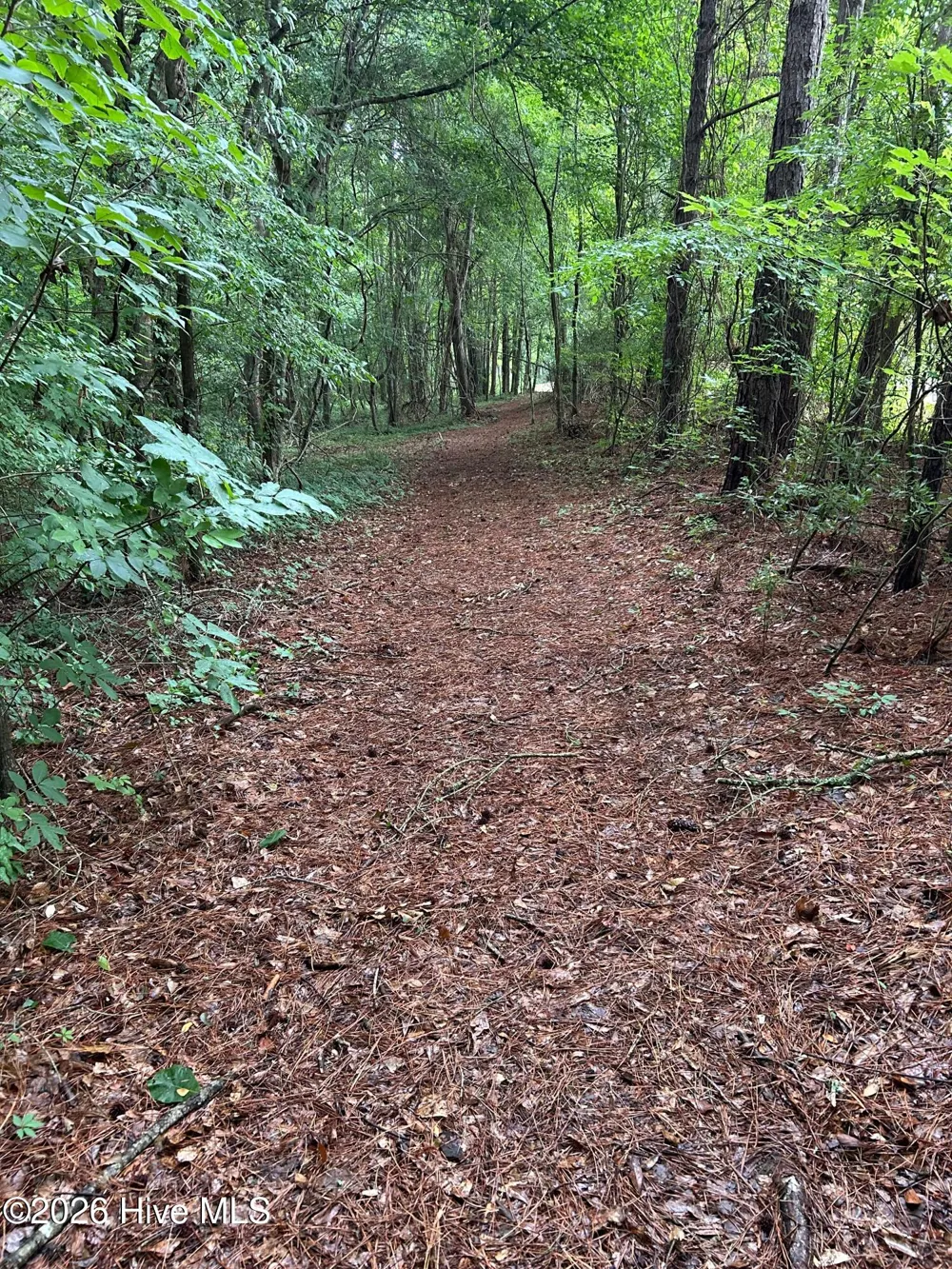 270 Guinea Mill Road Moyock, NC 27958