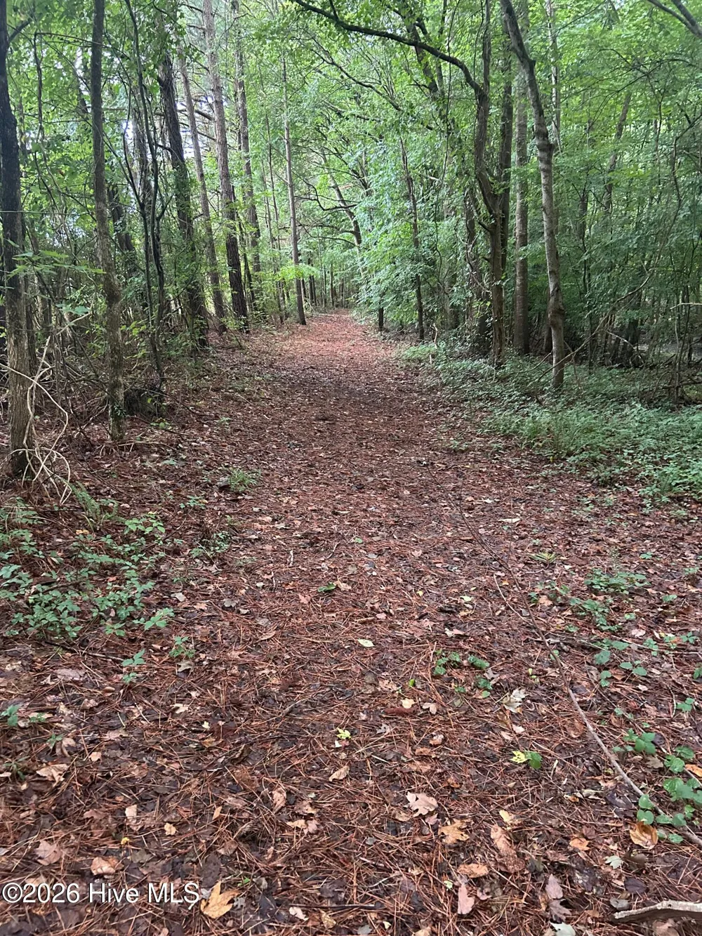 270 Guinea Mill Road Moyock, NC 27958