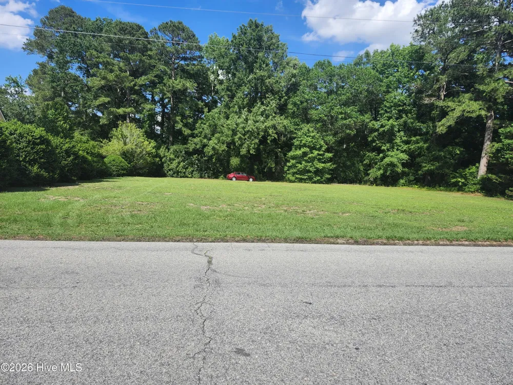 102 Forest Drive Clinton, NC 28328
