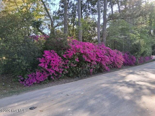 201 E Bell Street Tabor City, NC 28463