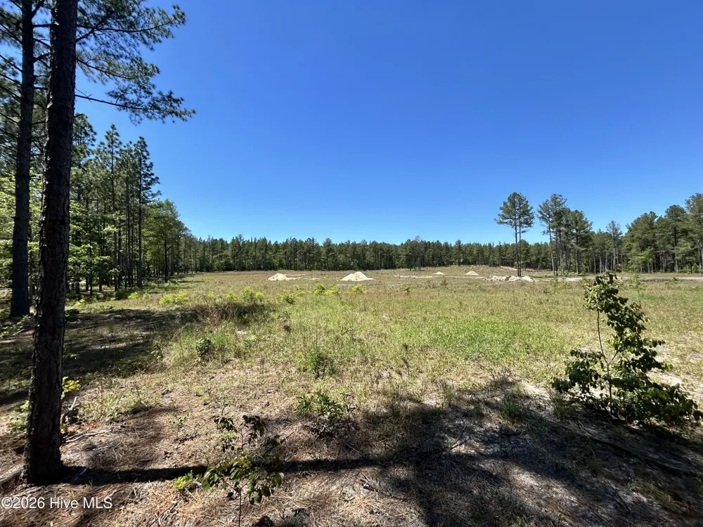 349 Lally Circle Aberdeen, NC 28315