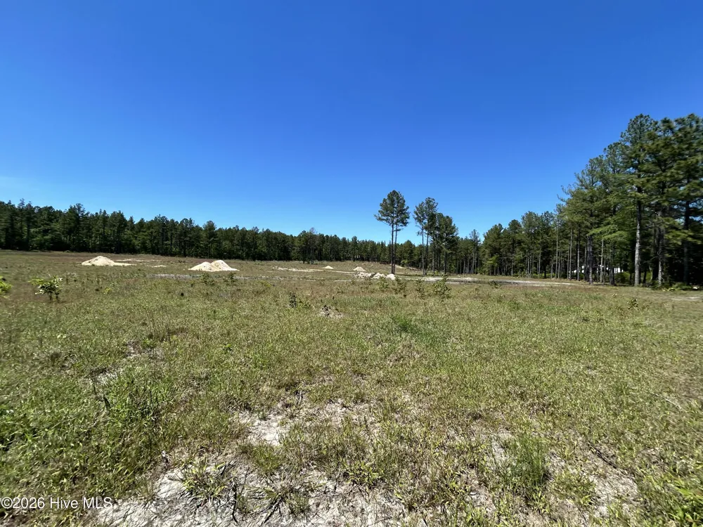 349 Lally Circle Aberdeen, NC 28315