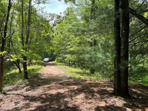 21 Collett Woods Trail