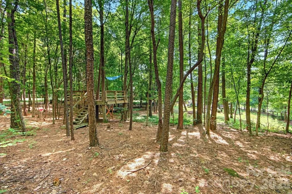 1217 Crofton Drive Waxhaw, NC 28173