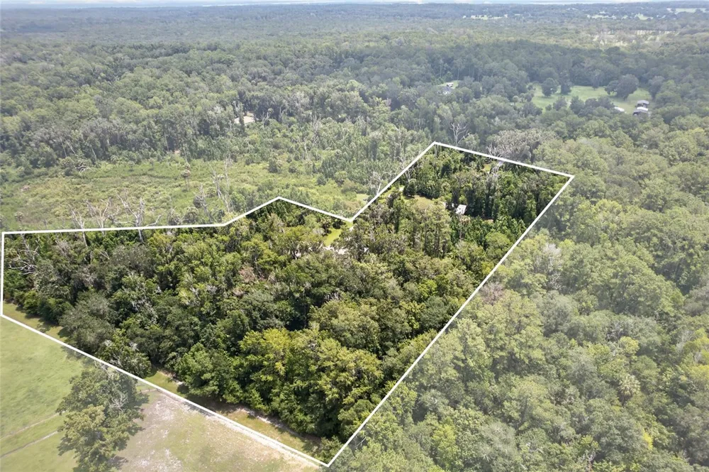 19040 NW 88TH AVENUE ROAD Reddick, FL 32686