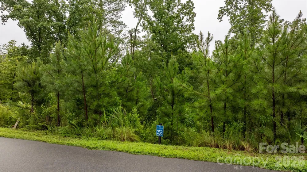 0 Scenic Lane #253 Granite Falls, NC 28630