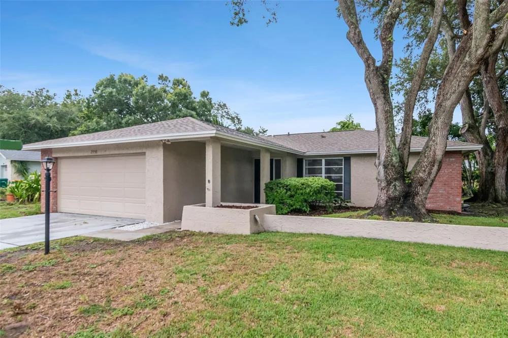 2958 DUNDEE DRIVE Palm Harbor, FL 34684