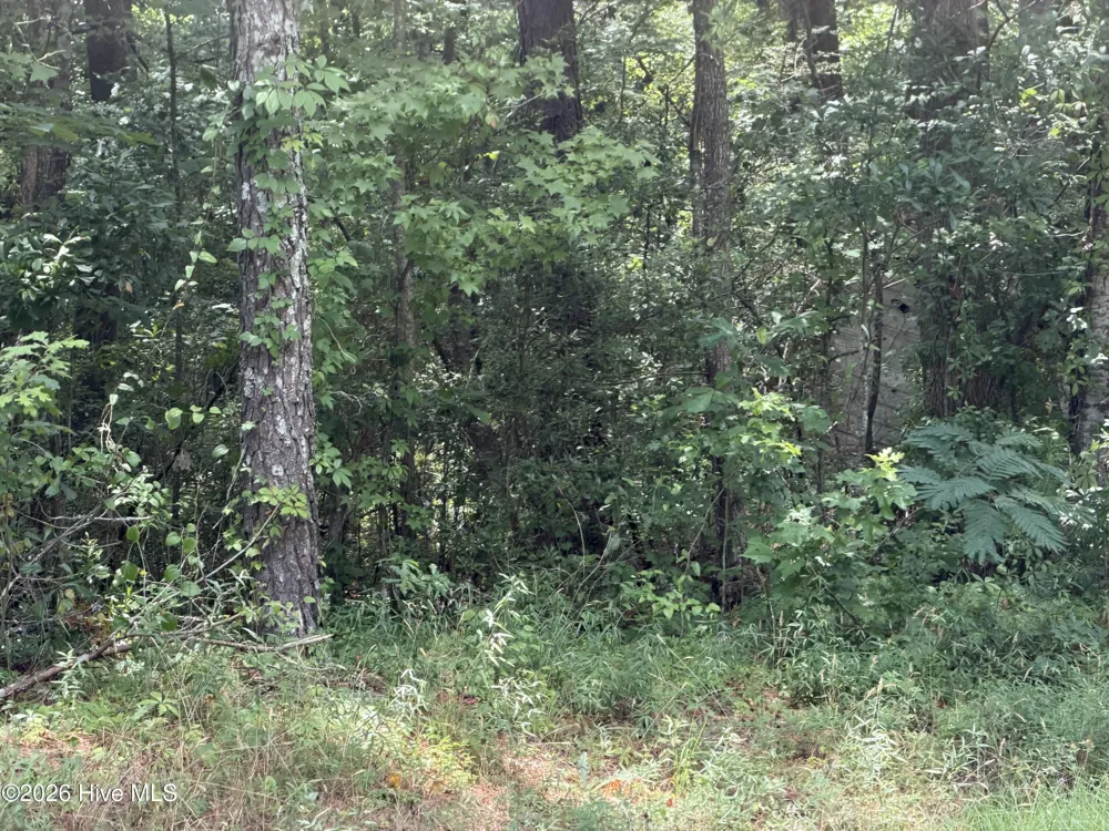 0 Sr 1916 & 1917 Aurora, NC 27806