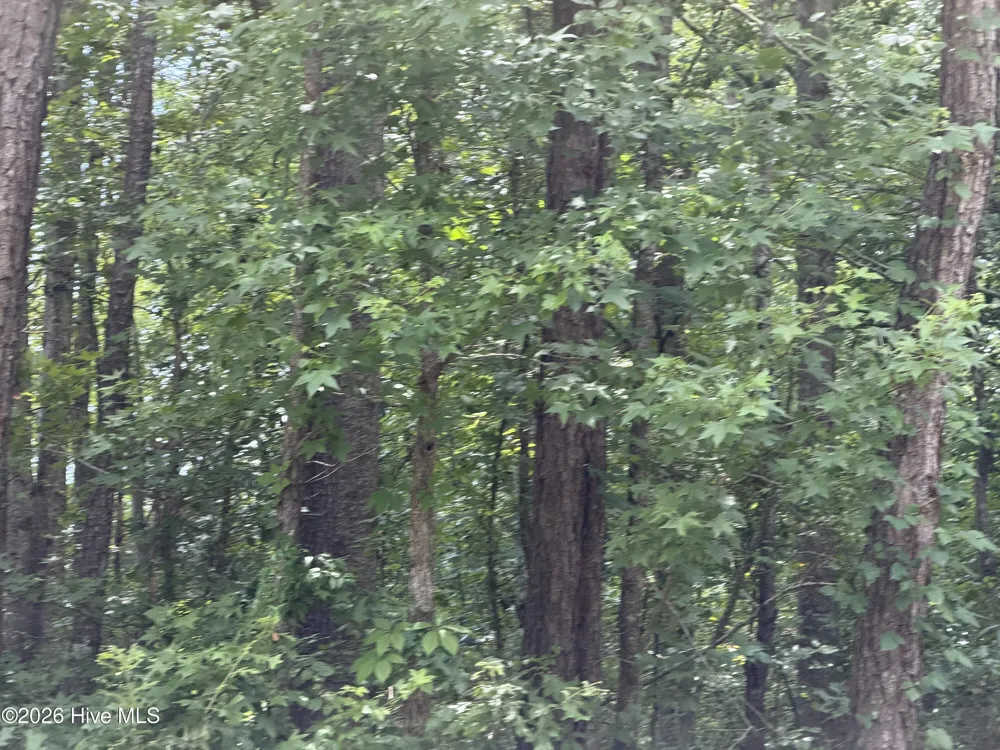 0 Sr 1916 & 1917 Aurora, NC 27806