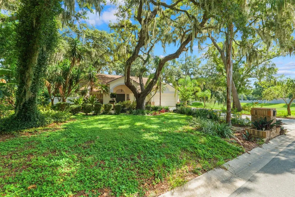 2770 BUCKHORN OAKS DRIVE Valrico, FL 33594