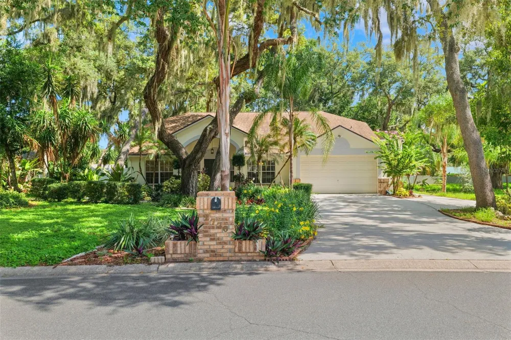 2770 BUCKHORN OAKS DRIVE Valrico, FL 33594