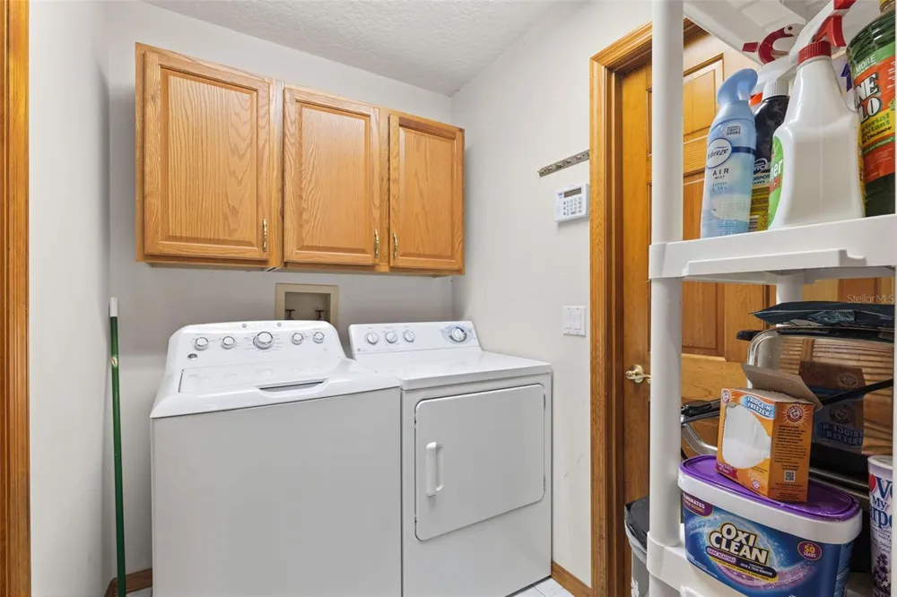 2770 BUCKHORN OAKS DRIVE Valrico, FL 33594