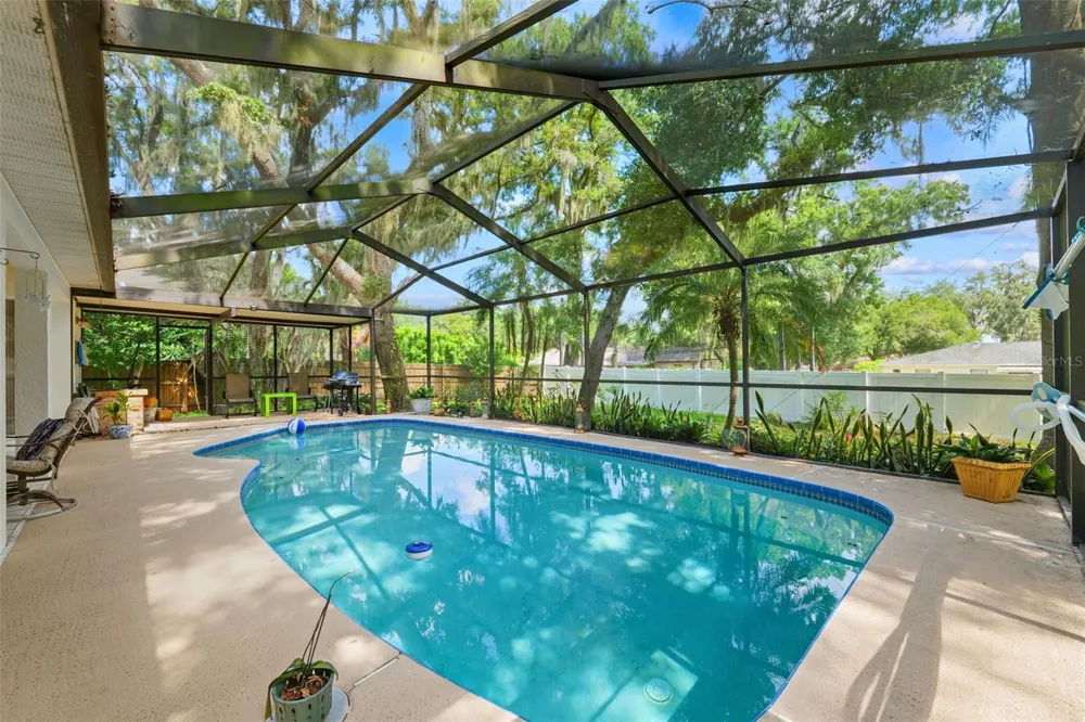 2770 BUCKHORN OAKS DRIVE Valrico, FL 33594