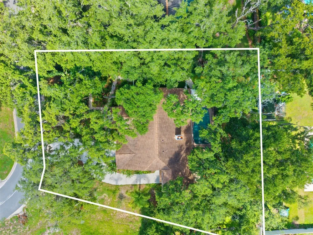 2770 BUCKHORN OAKS DRIVE Valrico, FL 33594