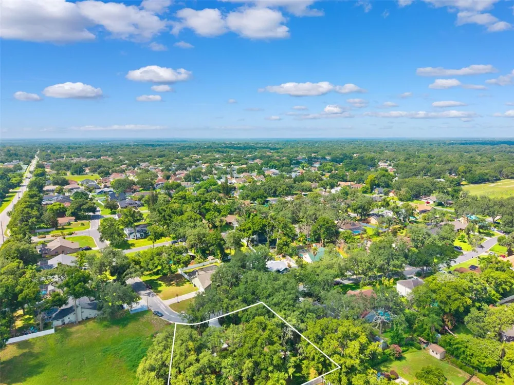 2770 BUCKHORN OAKS DRIVE Valrico, FL 33594